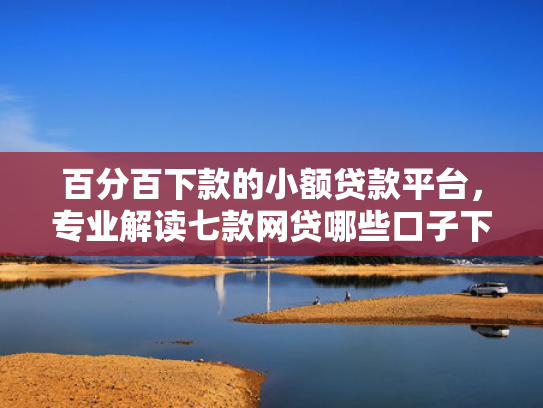 百分百下款的小额贷款平台，专业解读七款网贷哪些口子下款额度大