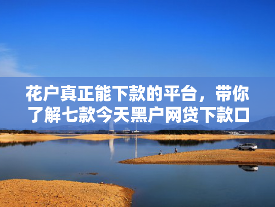 花户真正能下款的平台，带你了解七款今天黑户网贷下款口子