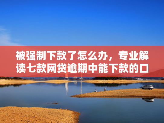 被强制下款了怎么办，专业解读七款网贷逾期中能下款的口子