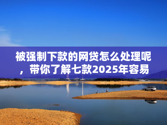 被强制下款的网贷怎么处理呢，带你了解七款2025年容易下款的网贷口子