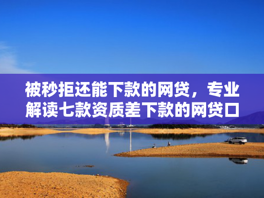 被秒拒还能下款的网贷，专业解读七款资质差下款的网贷口子6