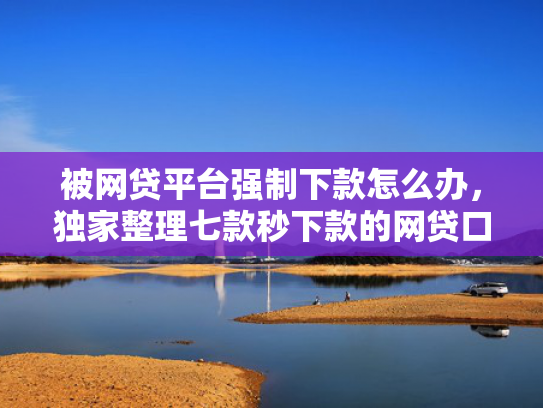 被网贷平台强制下款怎么办，独家整理七款秒下款的网贷口子叫什么