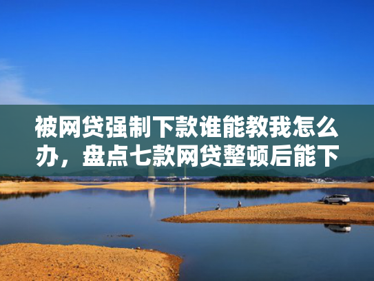 被网贷强制下款谁能教我怎么办，盘点七款网贷整顿后能下款的口子