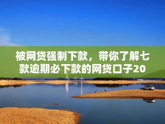 被网贷强制下款，带你了解七款逾期必下款的网贷口子2025