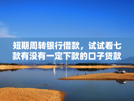 短期周转银行借款，试试看七款有没有一定下款的口子贷款