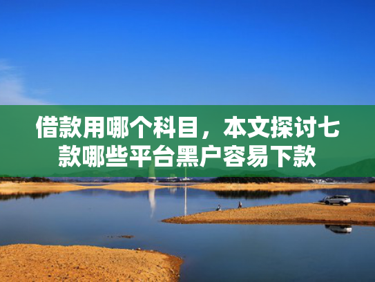 借款用哪个科目，本文探讨七款哪些平台黑户容易下款