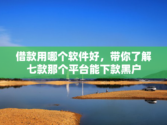 借款用哪个软件好，带你了解七款那个平台能下款黑户