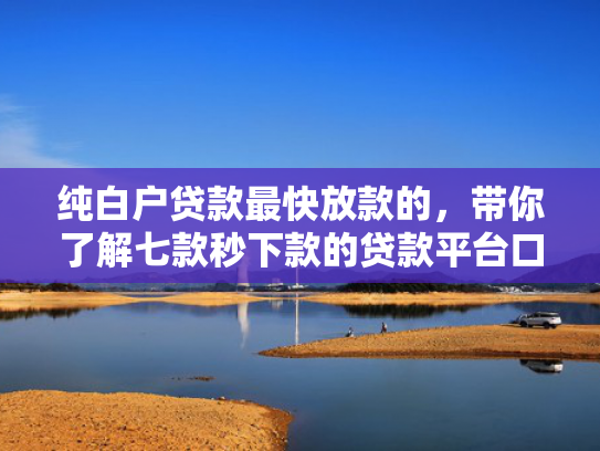 纯白户贷款最快放款的，带你了解七款秒下款的贷款平台口子哥