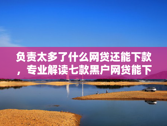 负责太多了什么网贷还能下款，专业解读七款黑户网贷能下款的口子