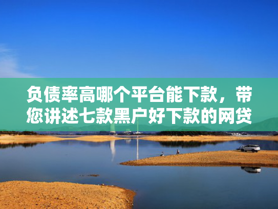负债率高哪个平台能下款，带您讲述七款黑户好下款的网贷