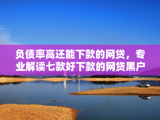 负债率高还能下款的网贷，专业解读七款好下款的网贷黑户