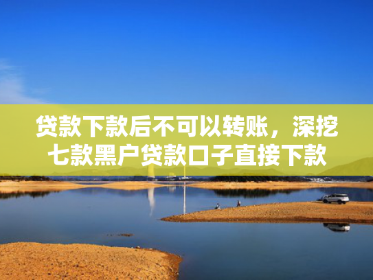 贷款下款后不可以转账，深挖七款黑户贷款口子直接下款