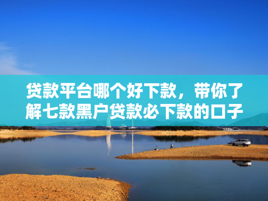 贷款平台哪个好下款，带你了解七款黑户贷款必下款的口子