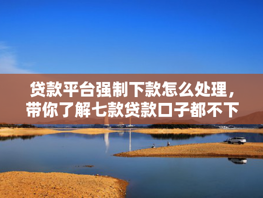 贷款平台强制下款怎么处理，带你了解七款贷款口子都不下款了吗