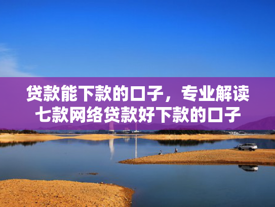 贷款能下款的口子，专业解读七款网络贷款好下款的口子