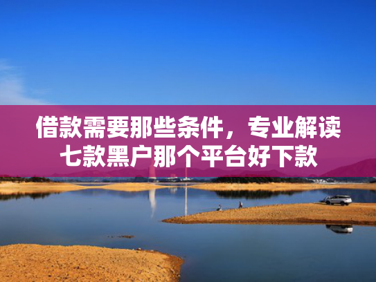 借款需要那些条件，专业解读七款黑户那个平台好下款