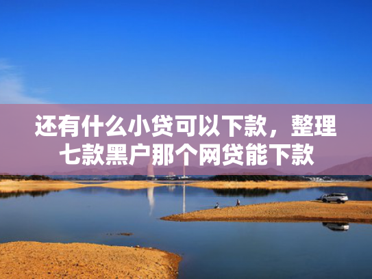 还有什么小贷可以下款，整理七款黑户那个网贷能下款