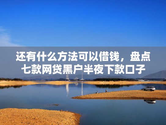 还有什么方法可以借钱，盘点七款网贷黑户半夜下款口子