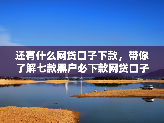 还有什么网贷口子下款，带你了解七款黑户必下款网贷口子