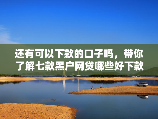 还有可以下款的口子吗，带你了解七款黑户网贷哪些好下款