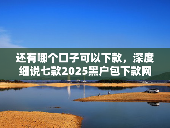 还有哪个口子可以下款，深度细说七款2025黑户包下款网贷