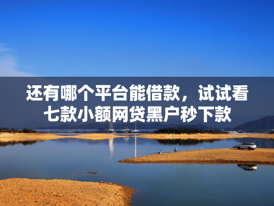 还有哪个平台能借款，试试看七款小额网贷黑户秒下款