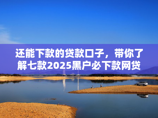 还能下款的贷款口子，带你了解七款2025黑户必下款网贷