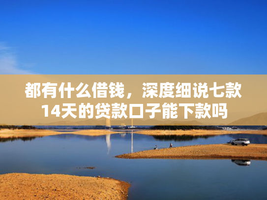 都有什么借钱，深度细说七款14天的贷款口子能下款吗