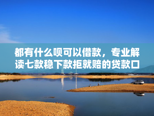 都有什么呗可以借款，专业解读七款稳下款拒就赔的贷款口子