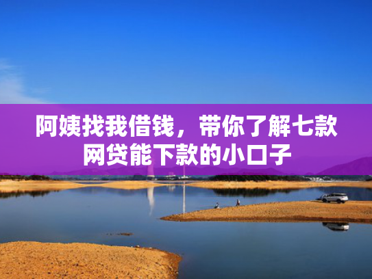 阿姨找我借钱，带你了解七款网贷能下款的小口子
