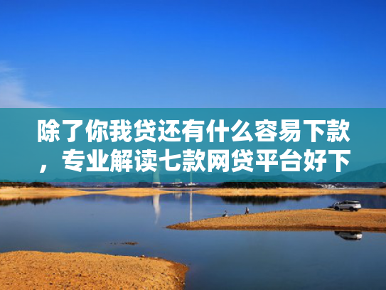 除了你我贷还有什么容易下款，专业解读七款网贷平台好下款的口子