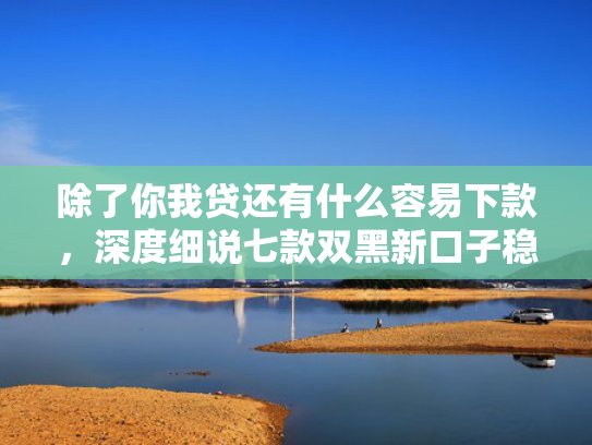 除了你我贷还有什么容易下款，深度细说七款双黑新口子稳下款平台