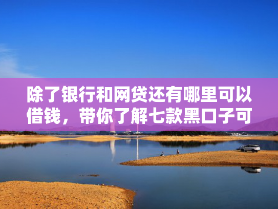 除了银行和网贷还有哪里可以借钱，带你了解七款黑口子可以下款的平台