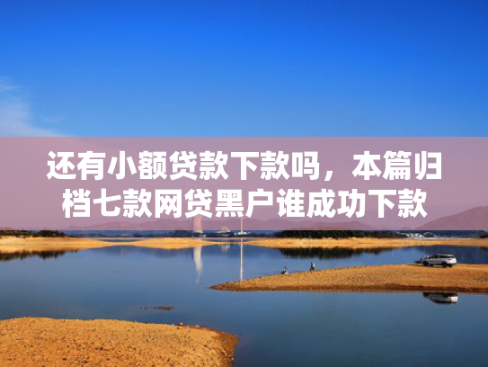 还有小额贷款下款吗，本篇归档七款网贷黑户谁成功下款