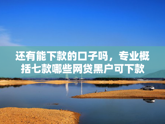 还有能下款的口子吗，专业概括七款哪些网贷黑户可下款