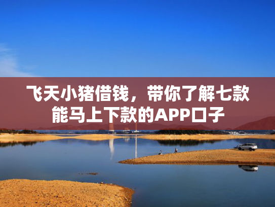 飞天小猪借钱，带你了解七款能马上下款的APP口子
