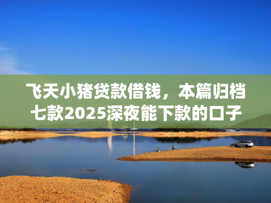 飞天小猪贷款借钱，本篇归档七款2025深夜能下款的口子app