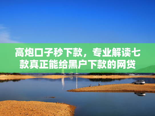 高炮口子秒下款，专业解读七款真正能给黑户下款的网贷