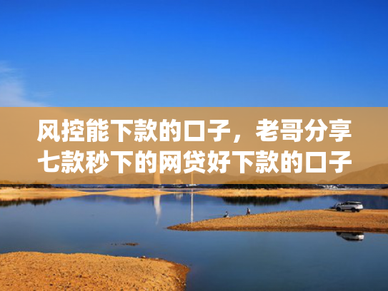 风控能下款的口子，老哥分享七款秒下的网贷好下款的口子app