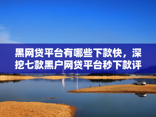 黑网贷平台有哪些下款快，深挖七款黑户网贷平台秒下款评论
