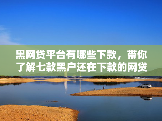 黑网贷平台有哪些下款，带你了解七款黑户还在下款的网贷
