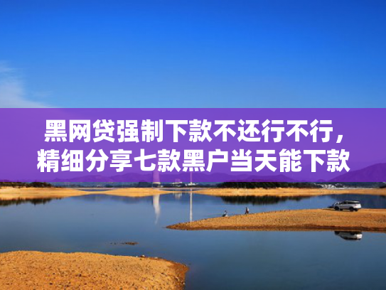 黑网贷强制下款不还行不行，精细分享七款黑户当天能下款的网贷