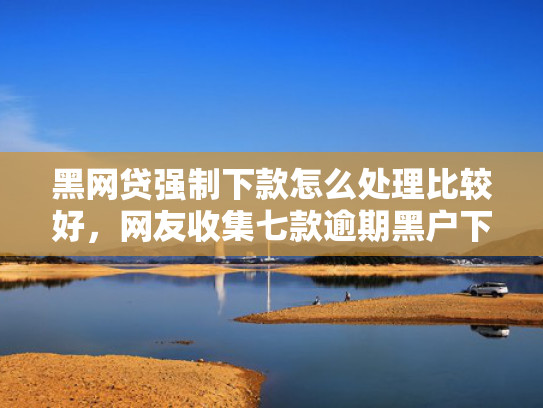 黑网贷强制下款怎么处理比较好，网友收集七款逾期黑户下款网贷平台