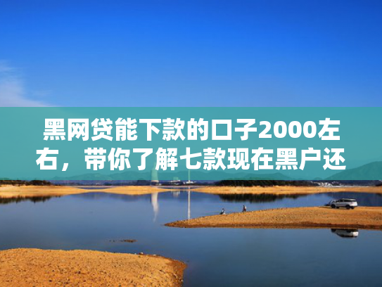 黑网贷能下款的口子2000左右，带你了解七款现在黑户还下款的网贷
