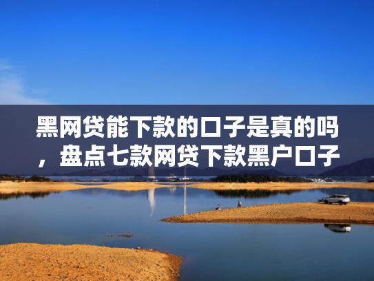 黑网贷能下款的口子是真的吗，盘点七款网贷下款黑户口子苹果