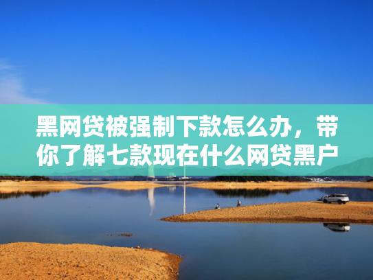 黑网贷被强制下款怎么办，带你了解七款现在什么网贷黑户能下款