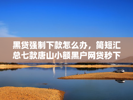 黑贷强制下款怎么办，简短汇总七款唐山小额黑户网贷秒下款