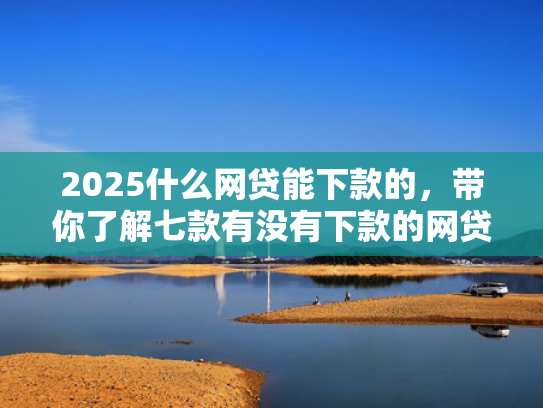2025什么网贷能下款的，带你了解七款有没有下款的网贷口子