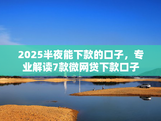 2025半夜能下款的口子，专业解读7款微网贷下款口子