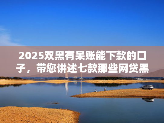 2025双黑有呆账能下款的口子，带您讲述七款那些网贷黑口子好下款